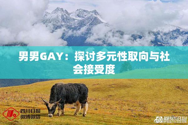 男男GAY：探讨多元性取向与社会接受度