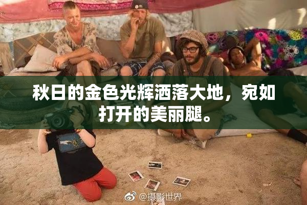 秋日的金色光辉洒落大地，宛如打开的美丽腿。