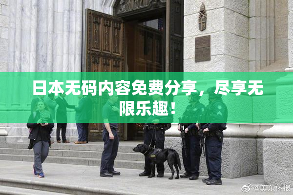 日本无码内容免费分享，尽享无限乐趣！