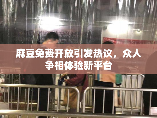 麻豆免费开放引发热议，众人争相体验新平台