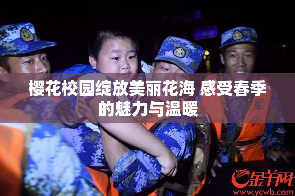 樱花校园绽放美丽花海 感受春季的魅力与温暖