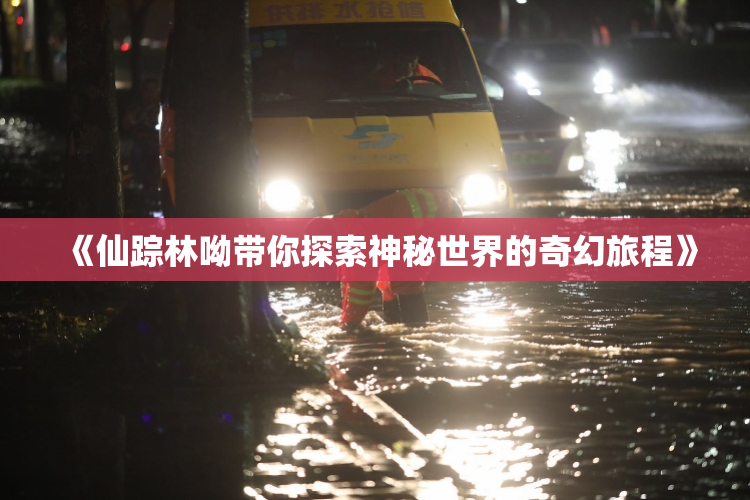 《仙踪林呦带你探索神秘世界的奇幻旅程》