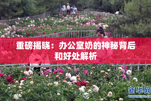 重磅揭晓：办公室奶的神秘背后和好处解析