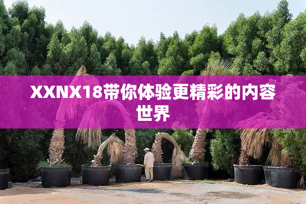 XXNX18带你体验更精彩的内容世界