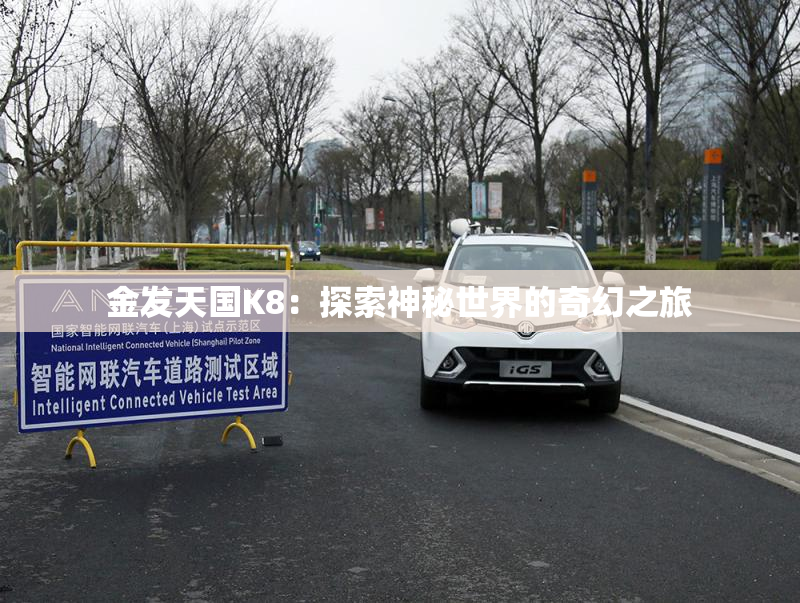 金发天国K8：探索神秘世界的奇幻之旅