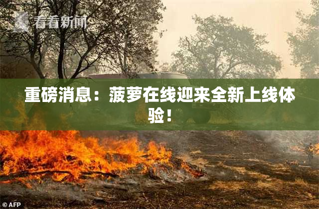 重磅消息：菠萝在线迎来全新上线体验！