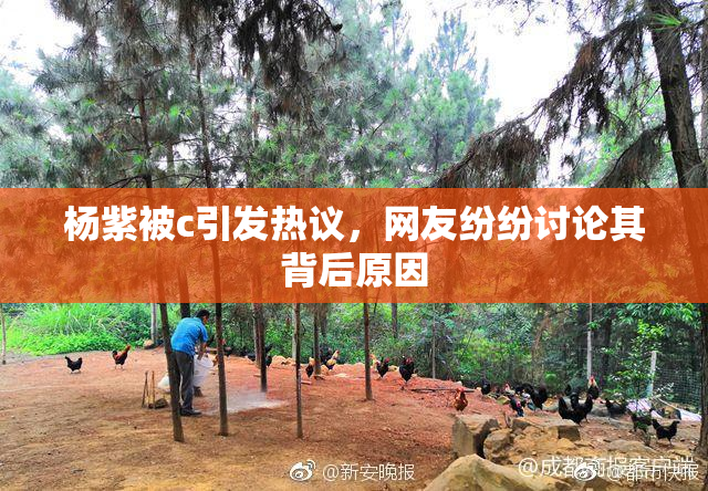 杨紫被c引发热议，网友纷纷讨论其背后原因