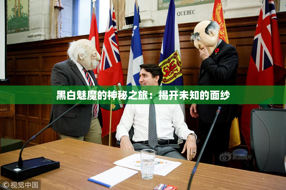 黑白魅魔的神秘之旅：揭开未知的面纱