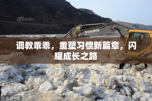 调教乖乖，重塑习惯新篇章，闪耀成长之路