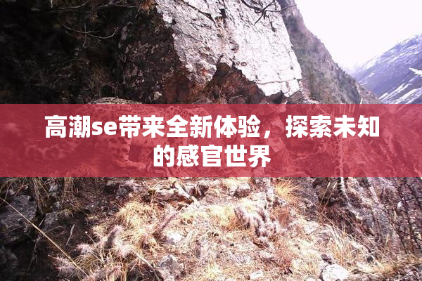 高潮se带来全新体验，探索未知的感官世界