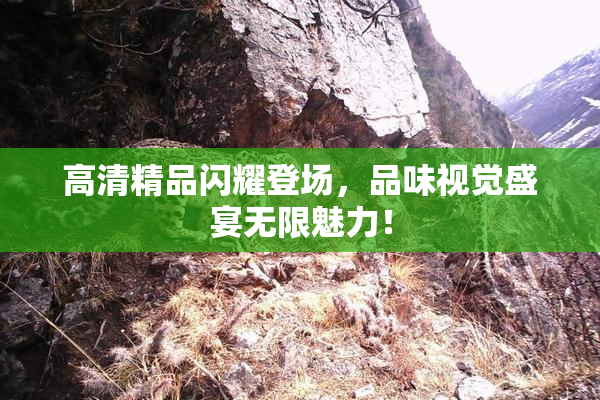 高清精品闪耀登场，品味视觉盛宴无限魅力！