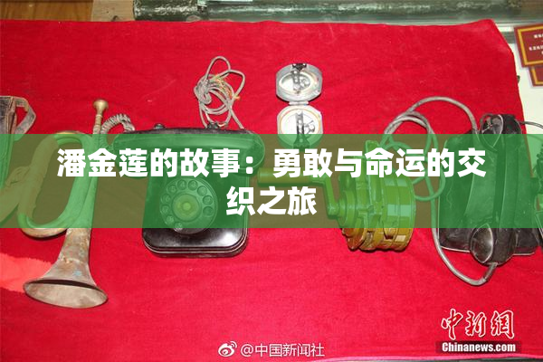 潘金莲的故事：勇敢与命运的交织之旅