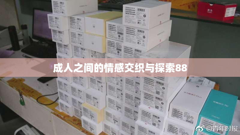 成人之间的情感交织与探索88