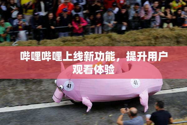 哔哩哔哩上线新功能，提升用户观看体验