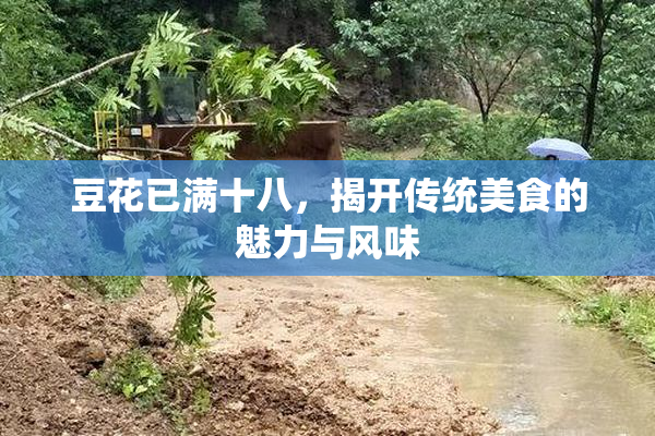 豆花已满十八，揭开传统美食的魅力与风味