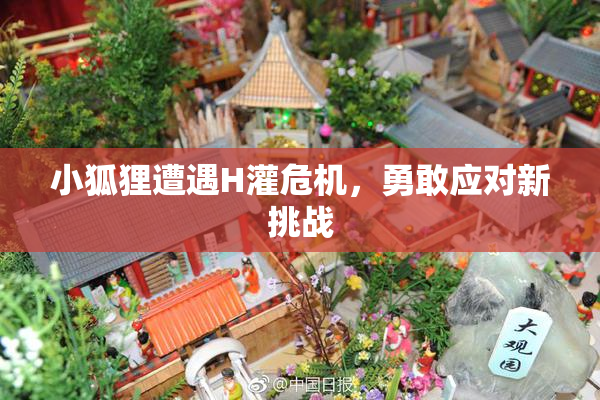 小狐狸遭遇H灌危机，勇敢应对新挑战