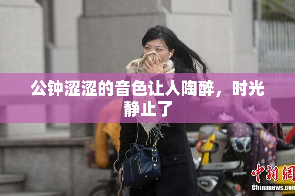 公钟涩涩的音色让人陶醉，时光静止了