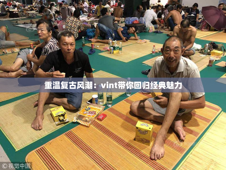 重温复古风潮：vint带你回归经典魅力