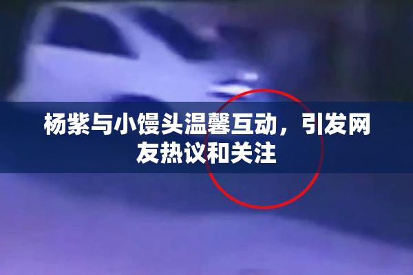杨紫与小馒头温馨互动，引发网友热议和关注