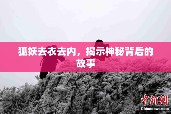 狐妖去衣去内，揭示神秘背后的故事