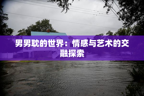 男男耽的世界：情感与艺术的交融探索