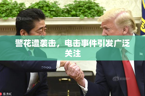警花遭袭击，电击事件引发广泛关注