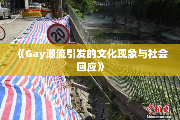 《Gay潮流引发的文化现象与社会回应》