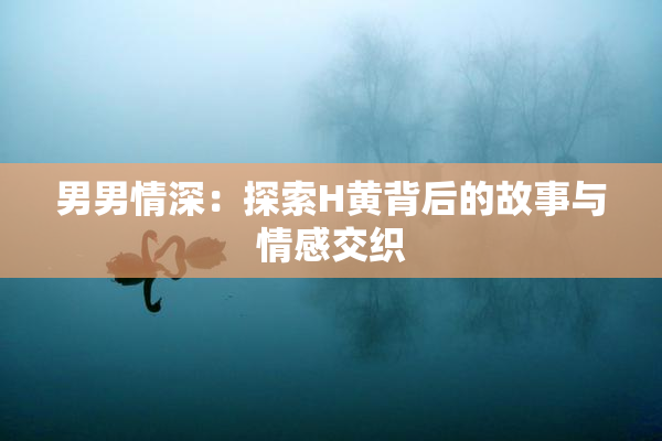 男男情深：探索H黄背后的故事与情感交织