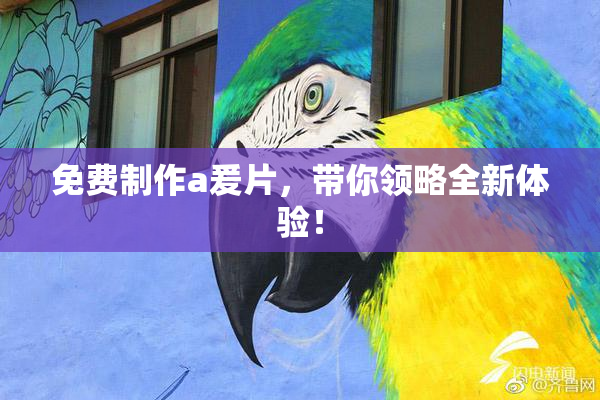 免费制作a爰片，带你领略全新体验！