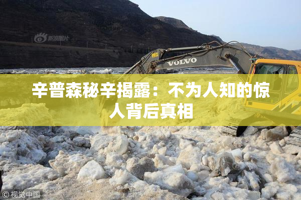 辛普森秘辛揭露：不为人知的惊人背后真相