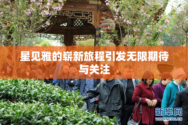 星见雅的崭新旅程引发无限期待与关注