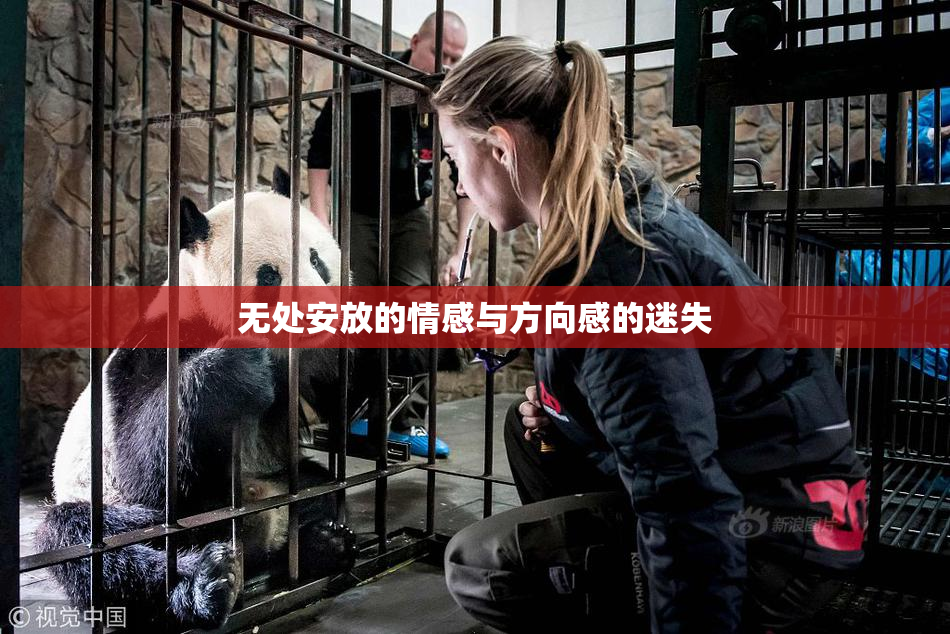 无处安放的情感与方向感的迷失
