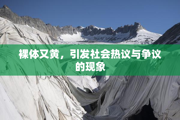 裸体又黄，引发社会热议与争议的现象