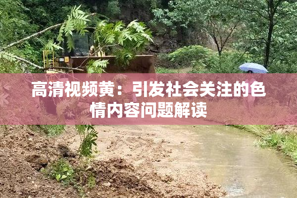 高清视频黄：引发社会关注的色情内容问题解读