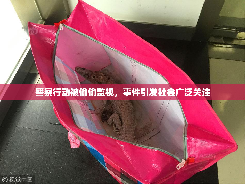 警察行动被偷偷监视，事件引发社会广泛关注