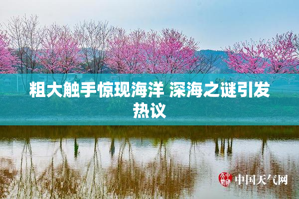 粗大触手惊现海洋 深海之谜引发热议