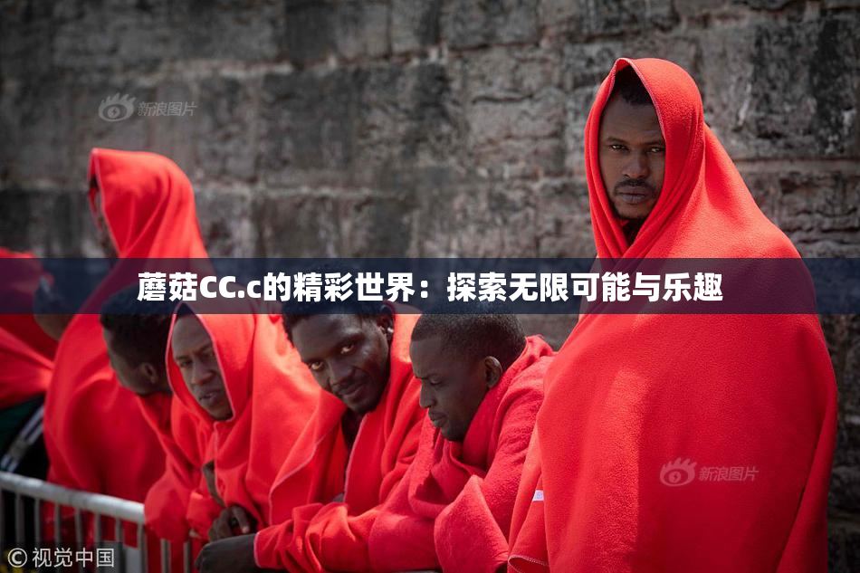 蘑菇CC.c的精彩世界：探索无限可能与乐趣