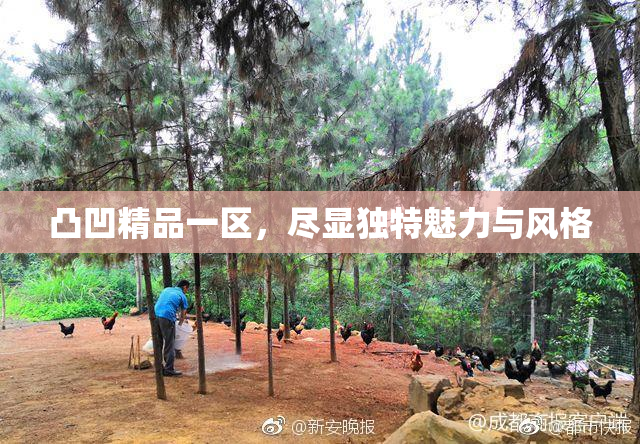 凸凹精品一区，尽显独特魅力与风格
