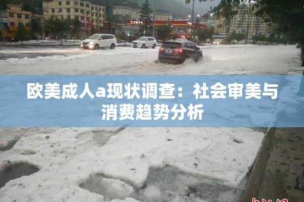 欧美成人a现状调查：社会审美与消费趋势分析