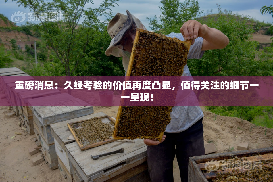 重磅消息：久经考验的价值再度凸显，值得关注的细节一一呈现！
