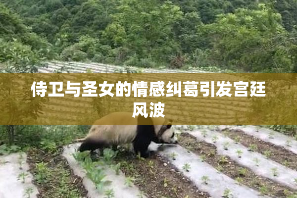 侍卫与圣女的情感纠葛引发宫廷风波