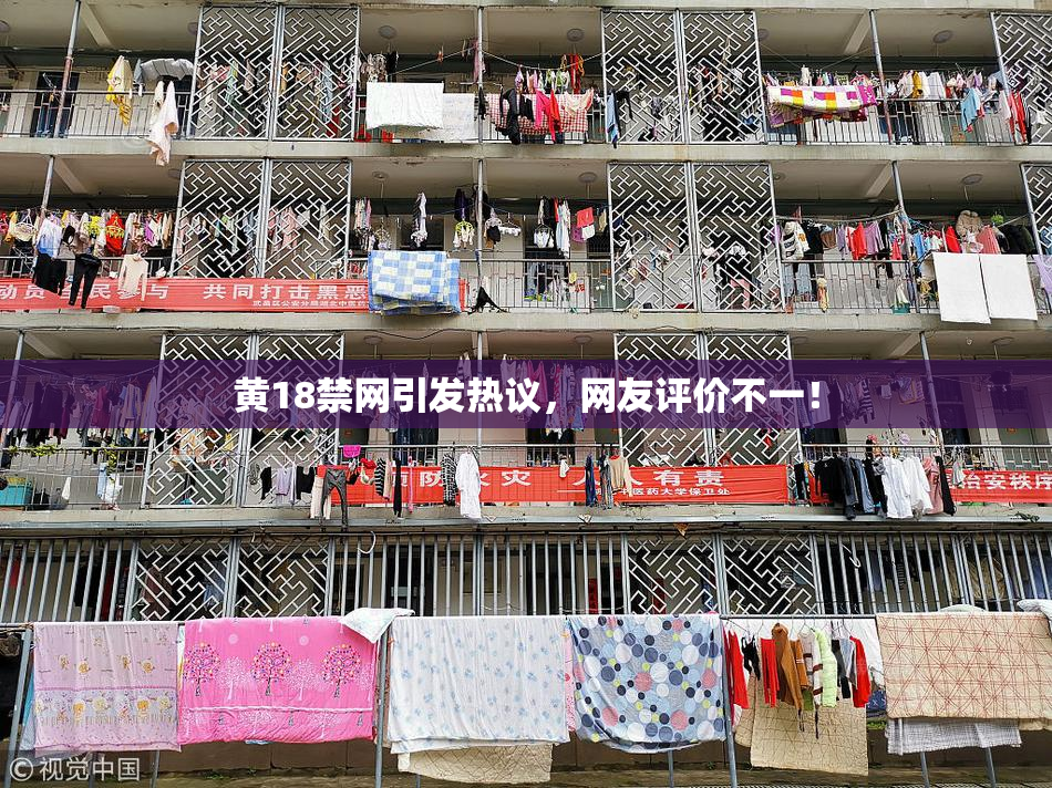 黄18禁网引发热议，网友评价不一！