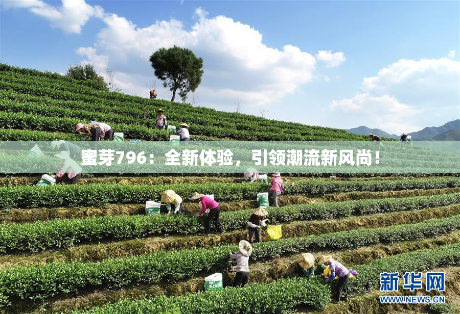 蜜芽796：全新体验，引领潮流新风尚！