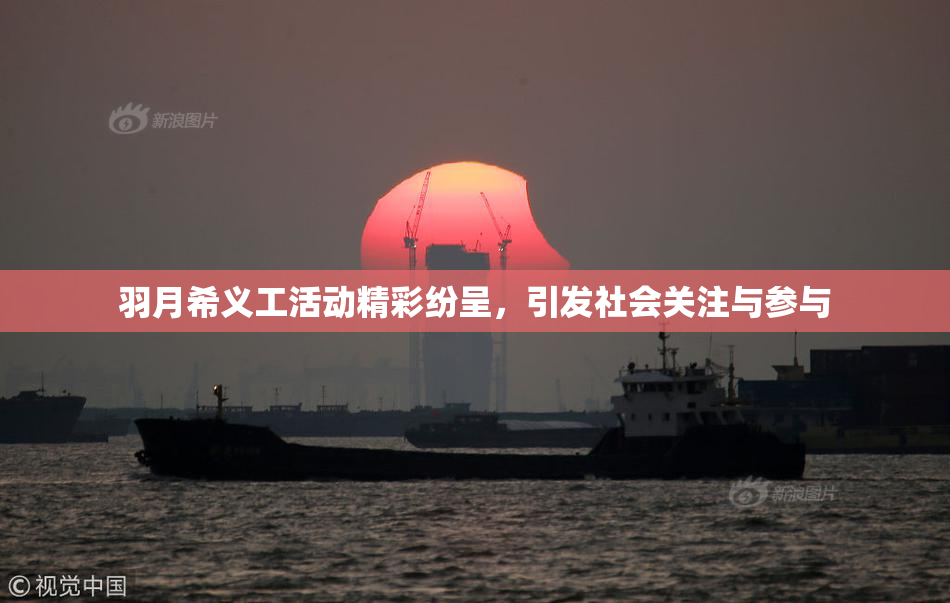 羽月希义工活动精彩纷呈，引发社会关注与参与