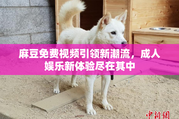 麻豆免费视频引领新潮流，成人娱乐新体验尽在其中