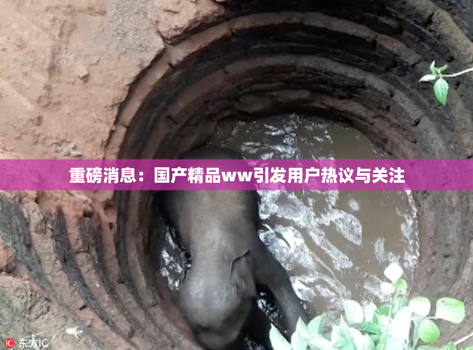 重磅消息：国产精品ww引发用户热议与关注