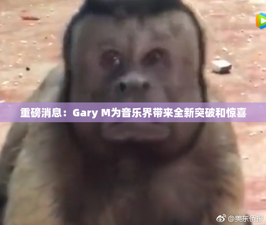 重磅消息：Gary M为音乐界带来全新突破和惊喜