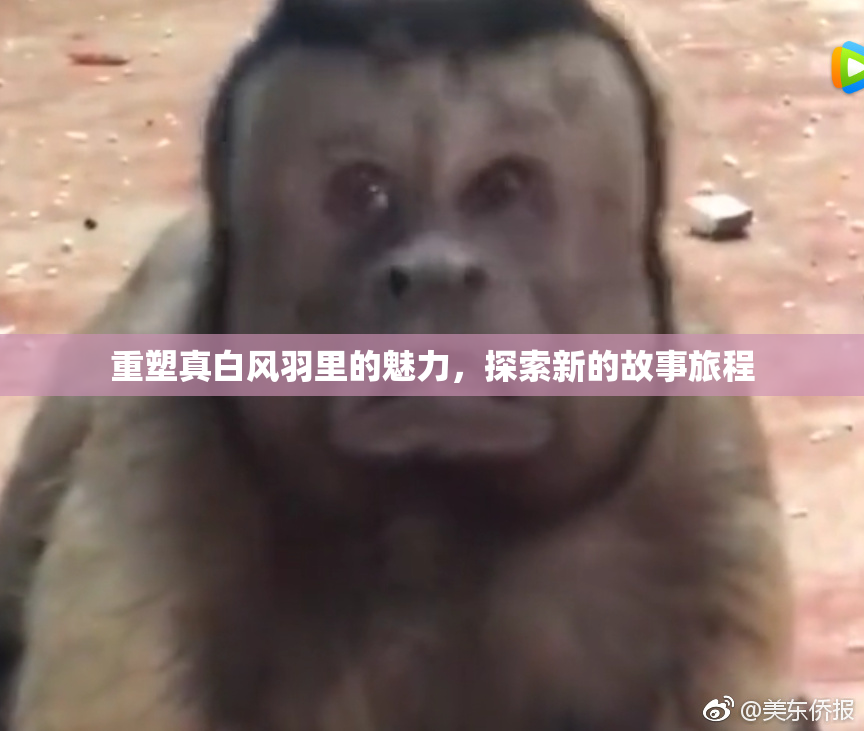 重塑真白风羽里的魅力，探索新的故事旅程