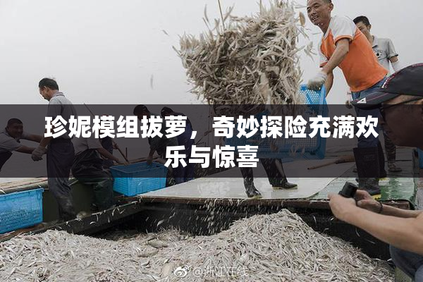 珍妮模组拔萝，奇妙探险充满欢乐与惊喜