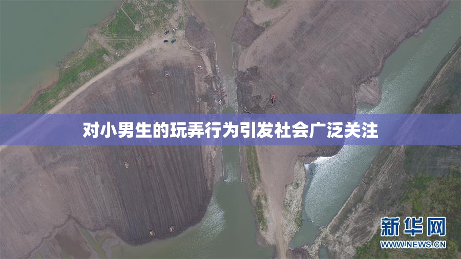 对小男生的玩弄行为引发社会广泛关注